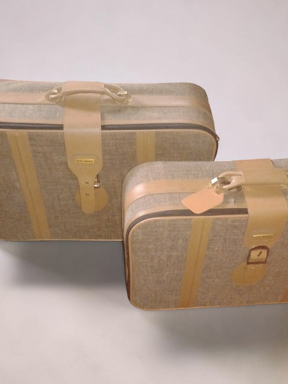 Tan Canvas Carry-On Suitcases with Leather Trim